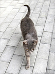 � pas de Loup -- 19/05/12