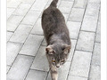 � pas de Loup -- 19/05/12