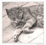 S�r�nit� -- 03/08/09
