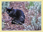 Regard d'Automne -- 15/11/11