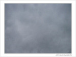 Journ�e du 16 novembre 2006 -- 19/11/06