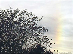 Arc-en soleill� d'automne -- 25/11/04