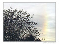 Arc-en soleill� d'automne -- 25/11/04