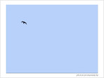 Espoir -- 07/03/06