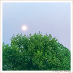 Pleine Lune -3- -- 18/05/25