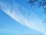 Plume dans le ciel -- 28/02/09