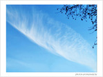 Plume dans le ciel -- 28/02/09