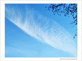 Plume dans le ciel -- 28/02/09