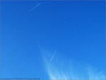 Pique et Plume -- 25/02/09
