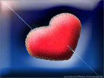 Coeur  -- 14/02/08