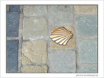 Coquille Saint-Jacques -20 -- 08/02/09