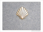 Coquille Saint-Jacques -25 -- 04/06/09