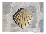 Coquille Saint-Jacques -27 -- 04/06/09