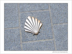 Coquille Saint-Jacques -29 -- 04/06/09