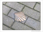Coquille Saint-Jacques -2 -- 06/03/06