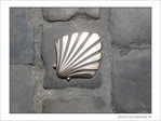 Coquille Saint-Jacques -30 -- 05/06/09