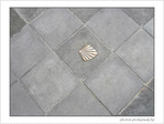 Coquille Saint-Jacques -32 -- 05/06/09