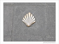 Coquille Saint-Jacques -33 -- 06/06/09