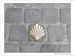 Coquille Saint-Jacques -34 -- 06/06/09