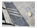 Coquille Saint-Jacques -35 -- 06/06/09