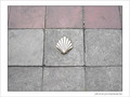 Coquille Saint-Jacques -38 -- 07/06/09