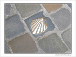 Coquille Saint-Jacques -3 -- 18/03/06