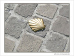 Coquille Saint-Jacques -4 -- 18/02/07