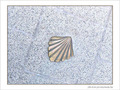 Coquille Saint-Jacques -6 -- 24/03/07