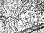 S'emm�ler et se D�m�ler -- 12/02/13