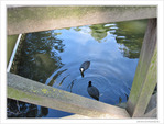 A l'abri des regards -- 09/10/09
