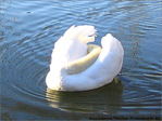 Me reconnaissez-vous�? -- 16/01/05