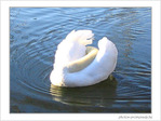 Me reconnaissez-vous�? -- 16/01/05