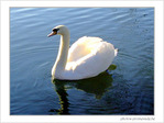 Avec gr�ce je m'avance ... -- 17/01/05