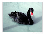 Avec lenteur, je m'avance ... -- 26/03/05