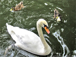 Jamais sans mes Gardes du corps -- 23/03/12