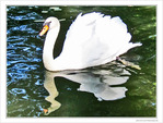 Miroir, mon beau miroir, que fais-tu de mon reflet�? -- 14/11/09
