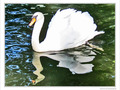Miroir, mon beau miroir, que fais-tu de mon reflet�? -- 14/11/09