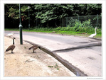 Il faut aller le chercher -- 05/08/10