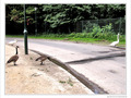 Il faut aller le chercher -- 05/08/10