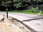 Il faut aller le chercher -- 05/08/10