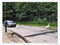 L'amiti� quand m�me...