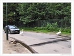 L'amiti� quand m�me... -- 07/08/10