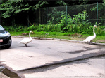 Ne bouge pas, j'arrive -- 09/08/10