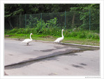 Ne boude pas, reviens vers nous -- 11/08/10