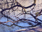 Bois l'Eau -- 06/09/07