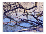 Bois l'Eau -- 06/09/07