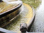 Fra�cheur en cascades -- 14/08/10