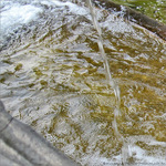 Jet d'eau -- 28/08/10