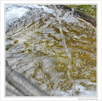 Jet d'eau -- 28/08/10
