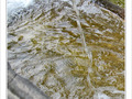 Jet d'eau -- 28/08/10